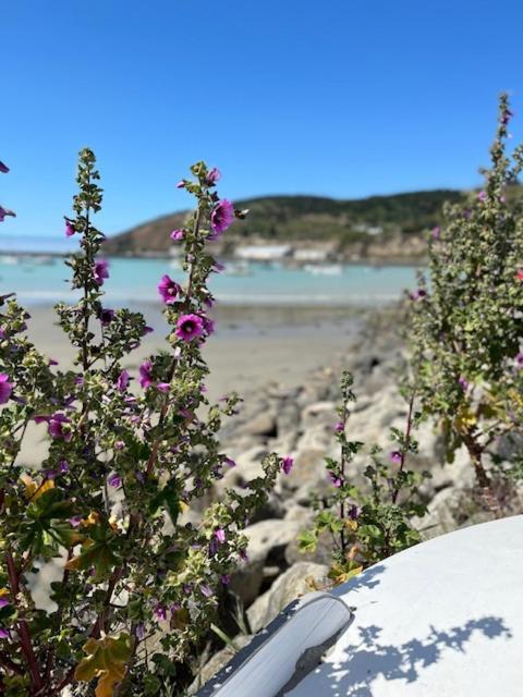 The Vicarage Boutique Bed And Breakfast Oamaru Esterno foto
